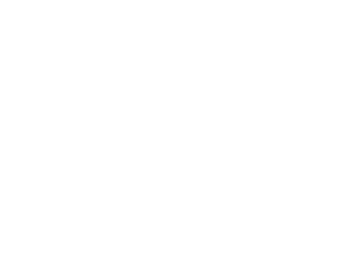 Bärenbikes